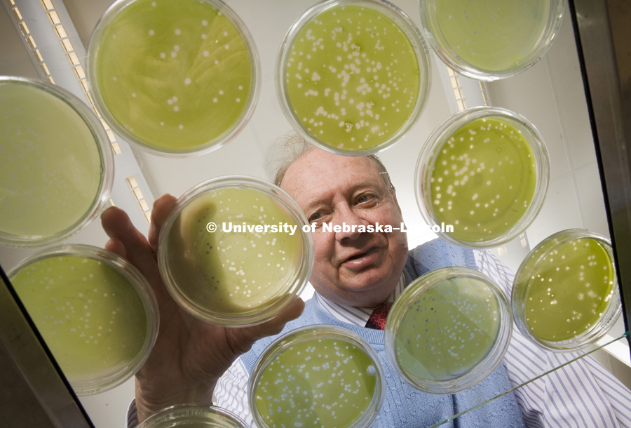 Professor James (Jim ) Van Etten . William Allington Distinguished Professor Department of Plant Pathology . Photographed at the Morrison Center for Virology on East Campus, Feb. 26, 2009. Photo by Craig Chandler/University Communications/University of Nebraska–Lincoln