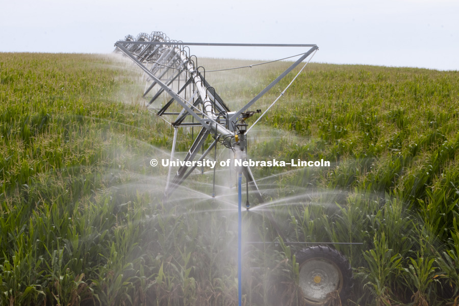  Corn field and center pivot irrigation in south central Nebraska. July, 2010. Photo by Craig Chandler / University Communications