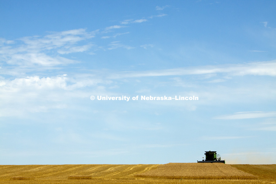 Agriculture photo shoot in south west Nebraska in Perkins County. Photo by Craig Chandler / University Communications