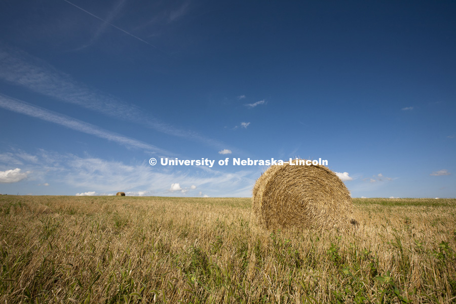 Agriculture photo shoot, Central Nebraska. Photo by Craig Chandler / University Communications