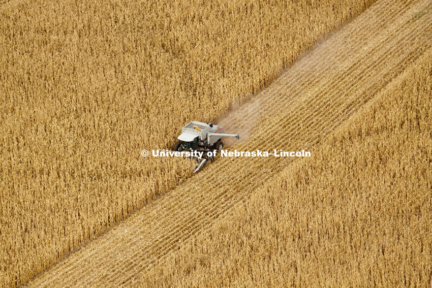 Corn harvest between Dorchester and York. Aerial photography north of York. October, 11, 2010.  Photo by Craig Chandler / University Communications