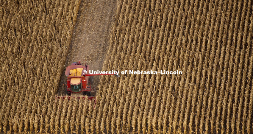 Corn harvest between Dorchester and York. Aerial photography north of York. October, 11, 2010.  Photo by Craig Chandler / University Communications