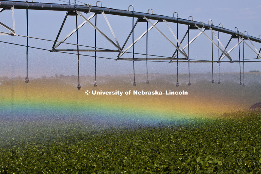 Soybean field south of Center City, Nebraska under irrigation. Rainbow caused by late afternoon sun hitting spray. 110826, Photo by Craig Chandler / University Communications