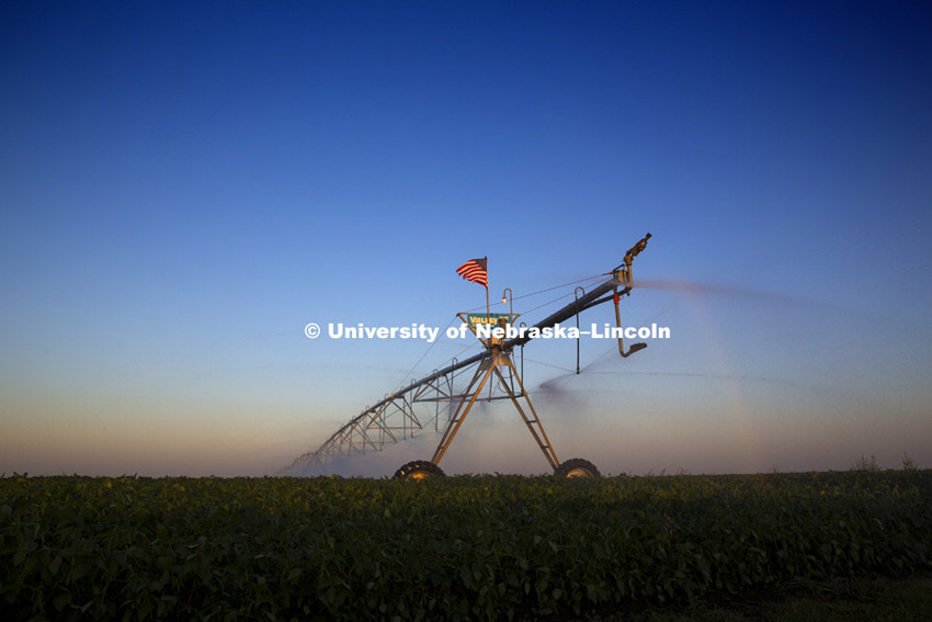 Irrigated corn crops in Nebraska, 130829, Photo by Craig Chandler, University Communications.