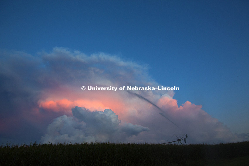 Corn field and clouds southeast of Lincoln, NE. August 10, 2014. Photo by Craig Chandler / University Communications