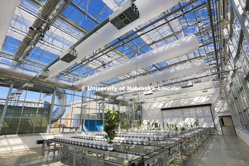 New greenhouses at Nebraska Innovation Campus will include  a section where the plants--including full size corn plants--are shuttled on a rail system and photographed by a broad spectrum camera. May 12, 2015, Photo by Craig Chandler / University Communications