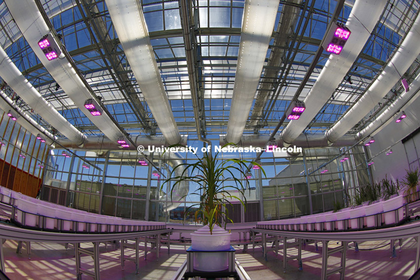Open house. New greenhouses on Nebraska Innovation Campus include an automated system for photographing plants under multiple spectrums of light. May 18, 2015. Photo by Craig Chandler / University Communications