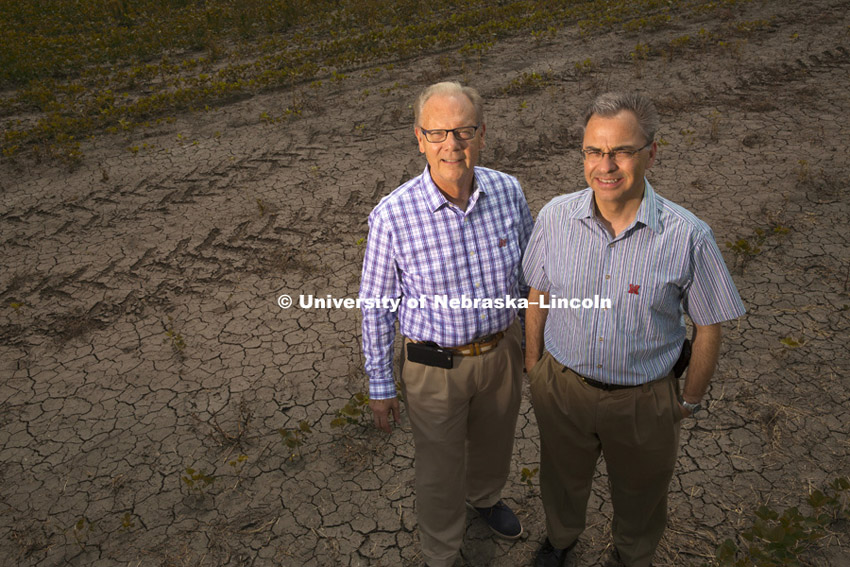 Donald A. Wilhite, Professor Applied Climate Sciences, and Michael J. Hayes, Director and Professor, National Drought Mitigation Center, stand in a dry field in Lincoln, NE.  Office of Research photo shoot June 30, 2015. Photo by Craig Chandler/University Communications.