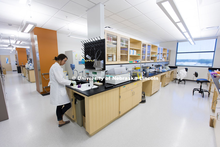 Test kitchens and research space in Nebraska Innovation Campus' Food Innovation Center. July 30, 2015. Photo by Craig Chandler / University Communications