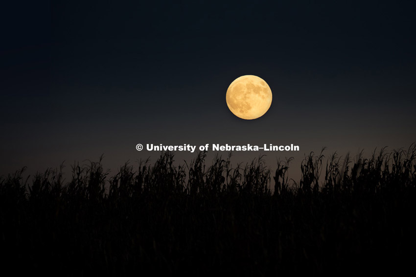 Lunar eclipse known as Blood Moon as seen in southeast Lancaster County. Double exposure of regular full moon and corn field. September 27, 2015. Photo by Craig Chandler / University Communications