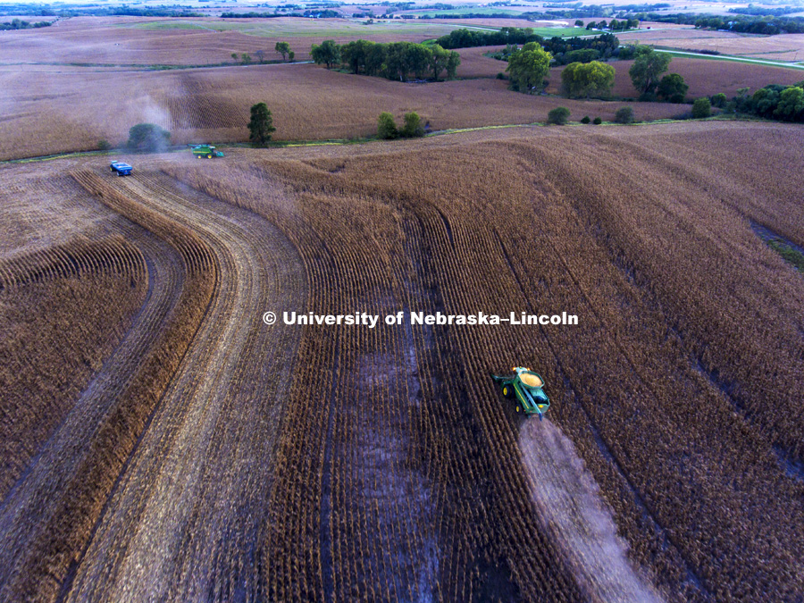 Corn Harvest. September 27, 2016. Photo by Craig Chandler / University Communication.