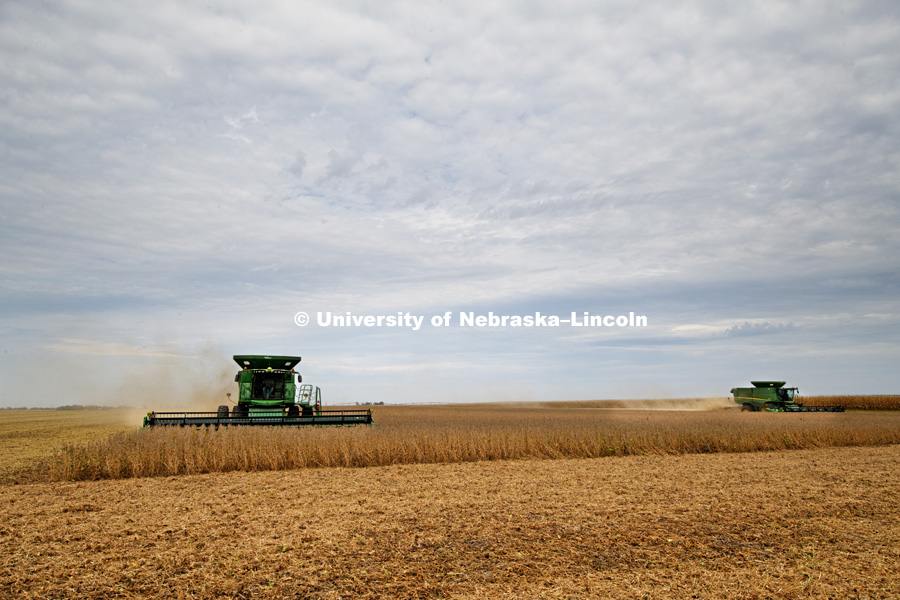 Soybean harvest by the Spohn Farms combine crew near Friend, NE. October 3, 2016. Photo by Craig Chandler / University Communication Photography.