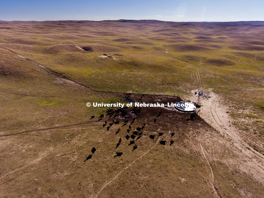 Drone footage of the Nebraska Sandhills. October 7, 2016. Photo by Craig Chandler, University Communication Photography.