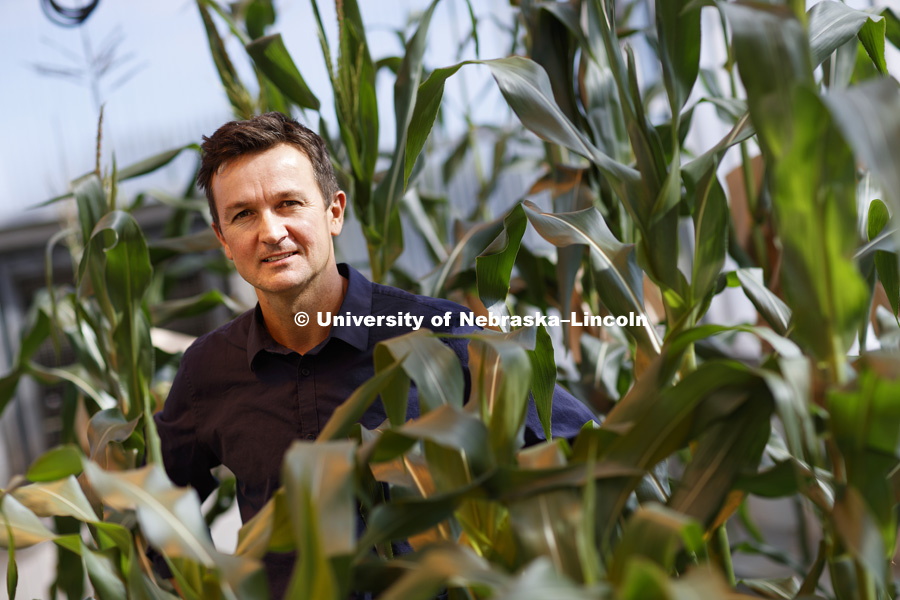 David Holding, Associate Professor - Department of Agronomy and Horticulture, and Plant Science Innovation member. October 13, 2016. Photo by Craig Chandler / University Communication.