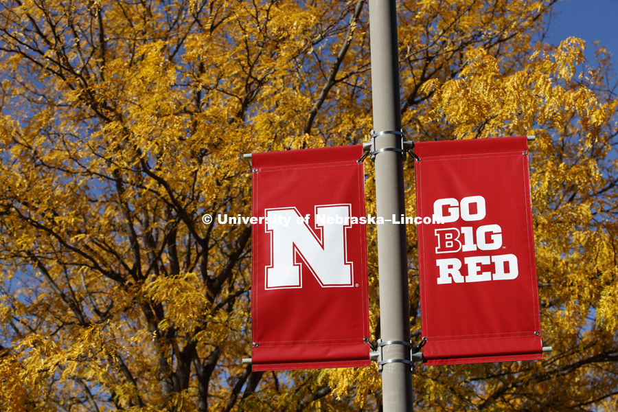 Red N banners are framed by the fall leaves on City Campus. October 18, 2016. Photo by Craig Chandler / University Communication Photography.