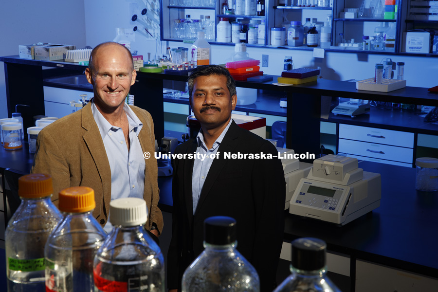 University of Nebraska-Lincoln biologist Jay Storz and Chandrasekhar Natarajan, research assistant professor in biological sciences, whose findings using modern molecular tools has demonstrated even greater evolutionary complexity than many scientists had previously believed. October 18, 2016. Photo by Craig Chandler / University Communication.