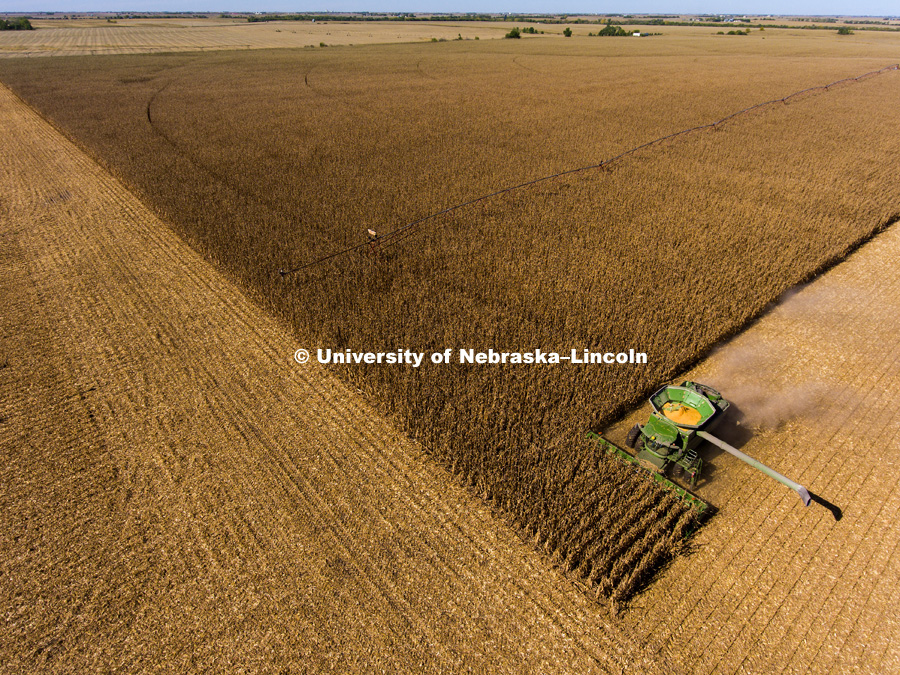 Corn Harvest. October 18, 2016. Photo by Craig Chandler / University Communication.