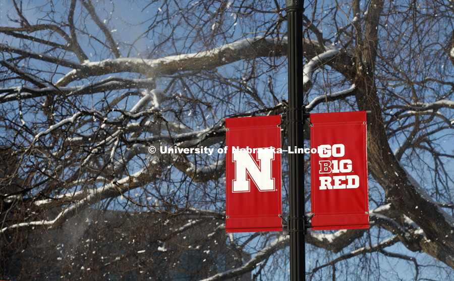 Snow, squirrels and banners on city campus. January 5, 2017. Photo by Craig Chandler / University Communication.