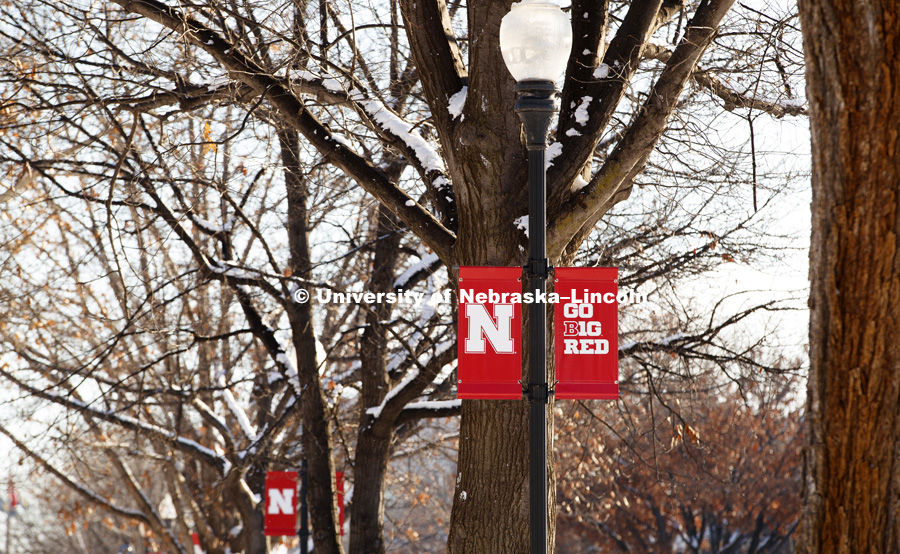 Snow, squirrels and banners on city campus. January 5, 2017. Photo by Craig Chandler / University Communication.