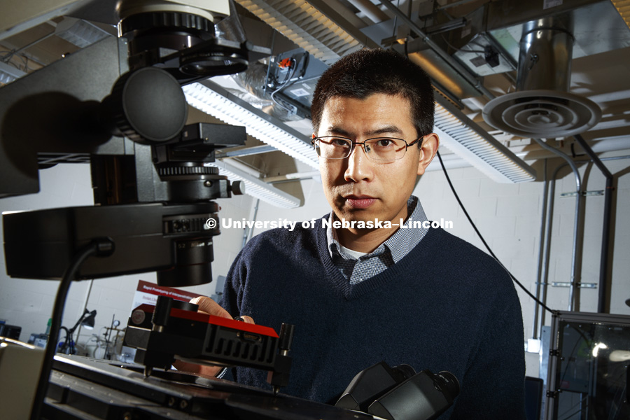 Ruiguo Yang, assistant professor of mechanical and materials engineering, and his colleagues found a way to analyze the fibrous nanostructure of beetles. Better understanding the structure and properties of beetle exoskeletons could help scientists