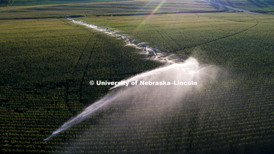 Center pivot irrigation northeast of Adams, Nebraska. July 16, 2017. Photo by Craig Chandler / University Communication.