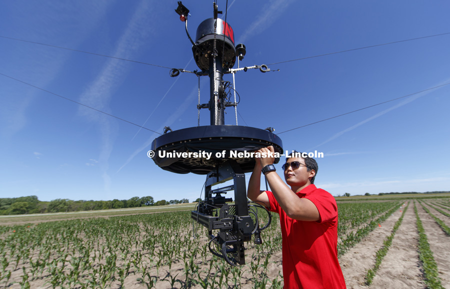 Phenotyping equipment at the University of Nebraska Agricultural Research and Development Center near Mead, NE. The equipment scales up to field size phenotyping previously only done in the greenhouse. June 20, 2017. Photo by Craig Chandler / University