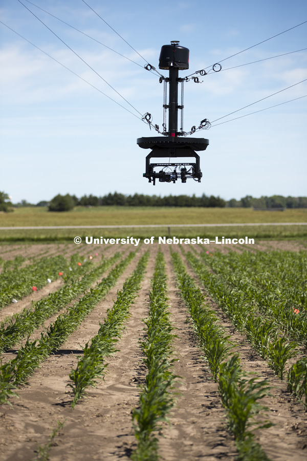 Phenotyping equipment at the University of Nebraska Agricultural Research and Development Center near Mead, NE. The equipment scales up to field size phenotyping previously only done in the greenhouse. June 20, 2017. Photo by Craig Chandler / University