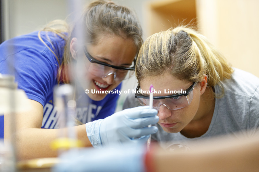 Students work in the lab of CHEM 110 - General Chemistry II in Hamilton Hall. August 3, 2017. Photo by Craig Chandler / University Communication.