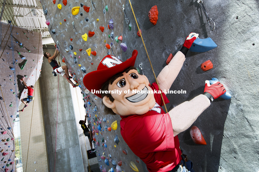 Herbie Husker on the Campus Recreation Rock Wall. September 8, 2017. Photo by Craig Chandler / University Communication.