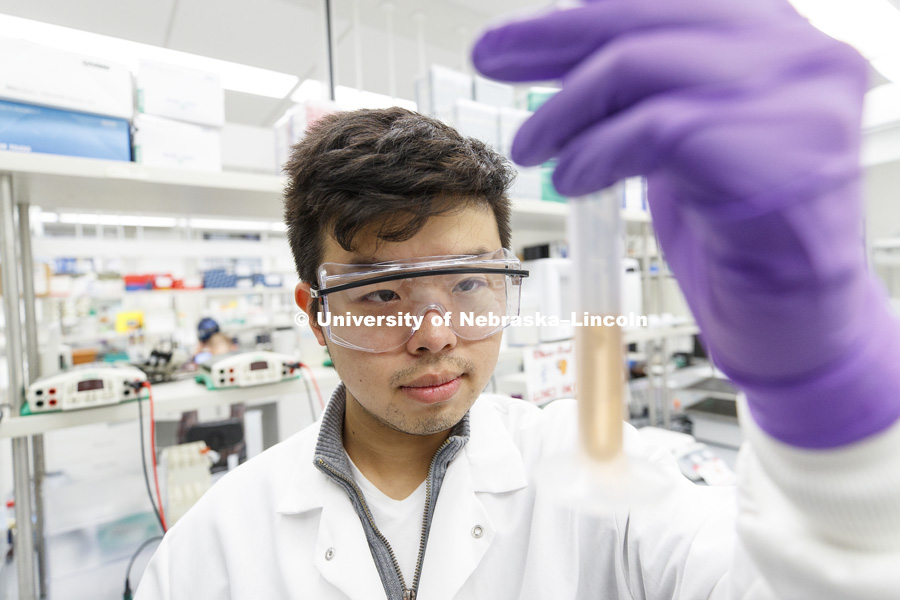 Brian Liu looks at the level of a solution in Brandi Sigmon's microbiology lab. Beadle Hall. October 27, 2017. Photo by Craig Chandler / University Communication.