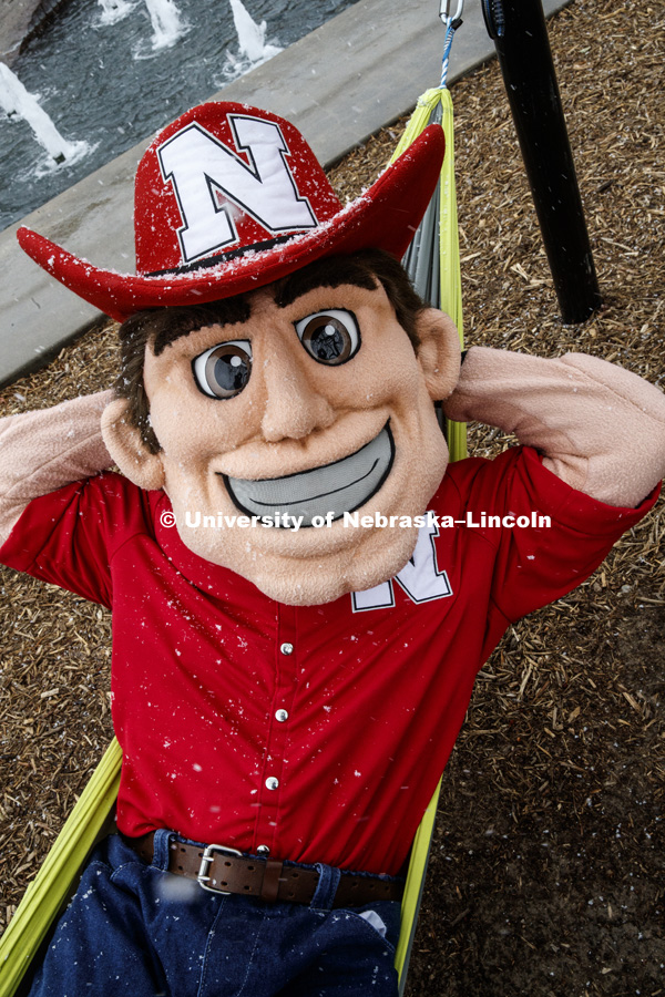 Herbie Husker hangs out in the new hammocks outside of the Nebraska Union on City Campus. October 31, 2017. Photo by Craig Chandler / University Communication.