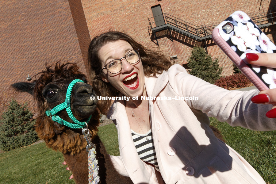 Alison Finn, a senior in secondary English education and theater, takes a selfie with Mahogany, an alpaca, outside the Visitors Center Wednesday.  It was brought to campus as part of a theater department costume class where students had to design costumes