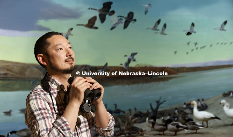 NSF CAREER winner Dai Shizuka whose research is how population turnover, a universal process driven by birth, death, migration and dispersal, affects social networks of all kinds, from human to bird to cell. March 22, 2018. Photo by Craig Chandler /