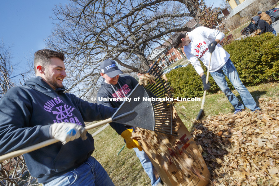Nick St. Onge, Sheboygan, Wisconsin, and Nate Vaughn, Fremont, Nebraska, fill leaf bags along P Street. They were part of a group of PGA Golf Management students participating in the Big Event. April 7, 2018. Photo by Craig Chandler / University