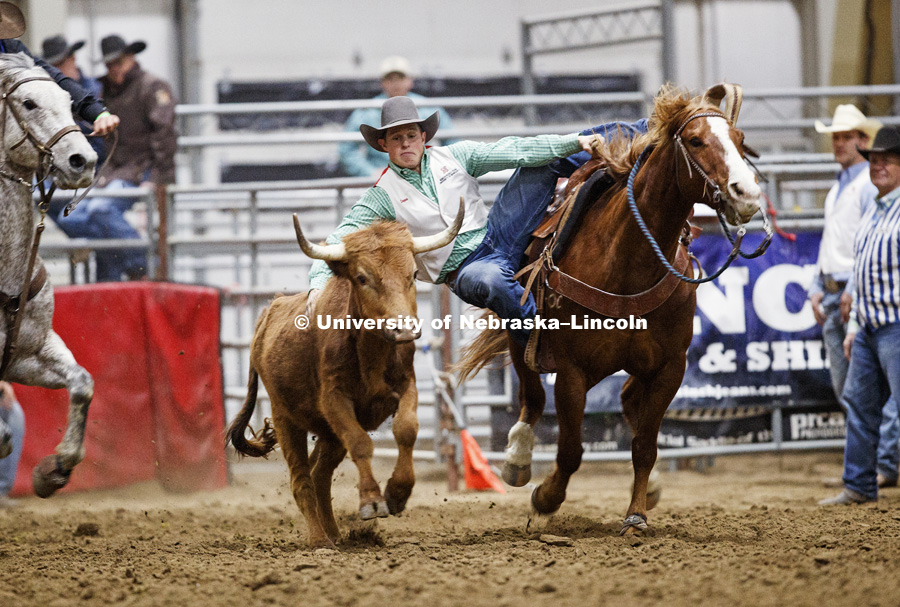 Logan Dibbern leaves his horse to wrestle the steer. 60th anniversary of the University of Nebraska-Lincoln Rodeo Club. April 20, 2018. Photo by Craig Chandler / University Communication.