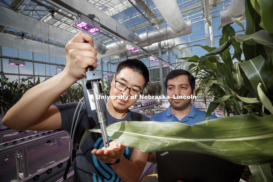 Researchers and students of James Schnable, Assistant Professor of Agronomy and Horticulture, take measurements of the growth and health of plants using several thousand wavelengths of light. The device is being used at the Greenhouse Innovation Center at