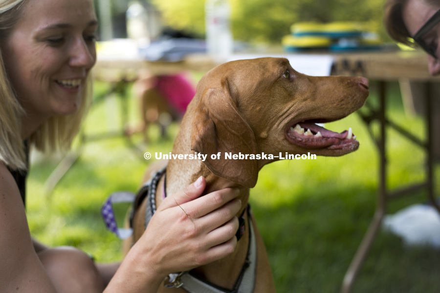 An attendee of the Husker Dog fest rewards her dog for participating in one of the games for dogs on August 11, 2018 on the University of Nebraska-Lincoln Campus. Photo by Alyssa Mae for University Communication.