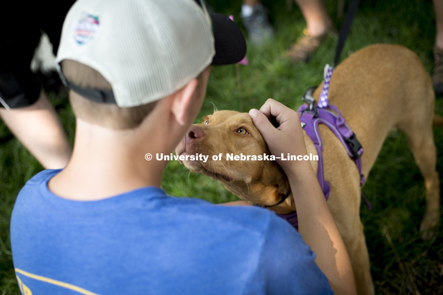 Patrick Schmidt greets a nearby dog, Ginger, during the Husker Dog fest on August 11, 2018 on the University of Nebraska-Lincoln Campus. Photo by Alyssa Mae for University Communication.