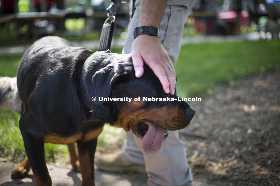 An attendee comforts his Rottweiler during the Husker Dog fest on August 11, 2018 on the University of Nebraska-Lincoln Campus. Photo by Alyssa Mae for University Communication.