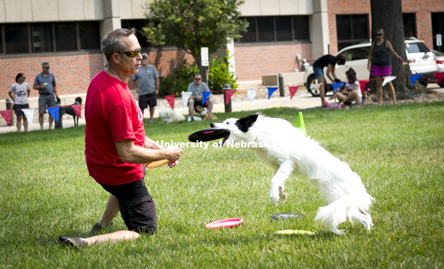 Shane throws a Frisbee to Micco, a dog performer from the Kansas City Disc Dogs, during the Husker Dog fest on August 11, 2018 on the University of Nebraska-Lincoln Campus. Photo by Alyssa Mae for University Communication.