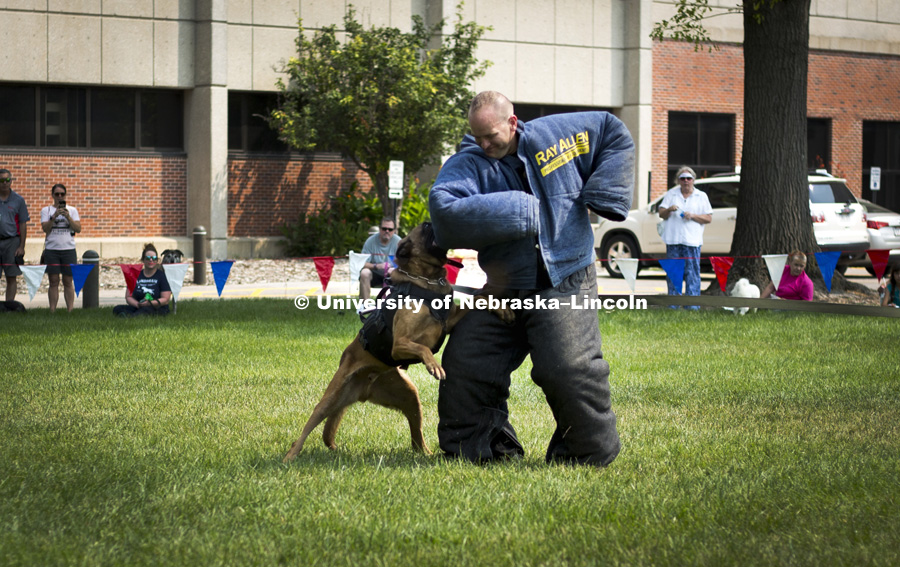 The state patrol police exhibit their canine unit during the Husker Dog fest on August 11, 2018 on the University of Nebraska-Lincoln Campus. Photo by Alyssa Mae for University Communication.
