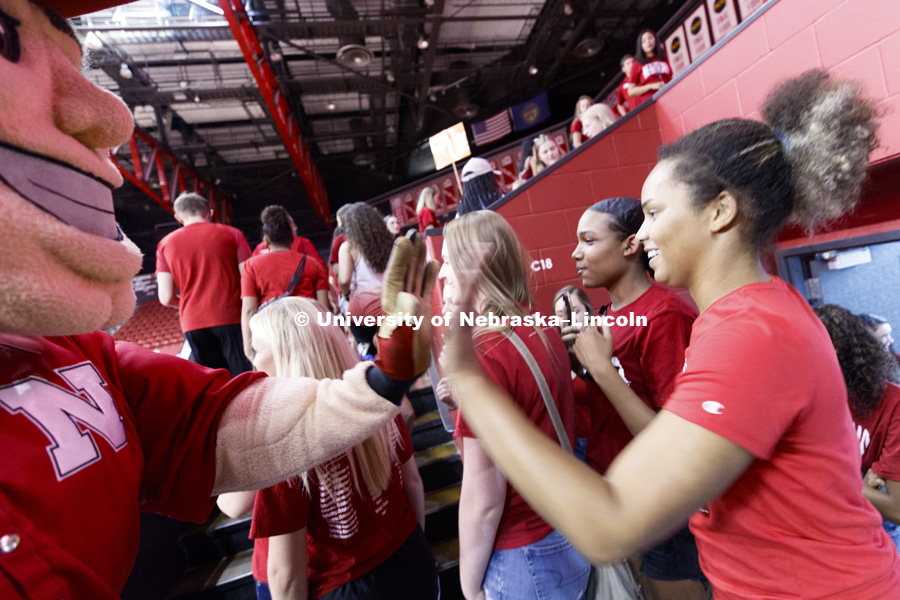 High-fives from Herbie at new student convocation at Bob Devaney Sports Center. August 17, 2018. Photo by Craig Chandler / University Communication.