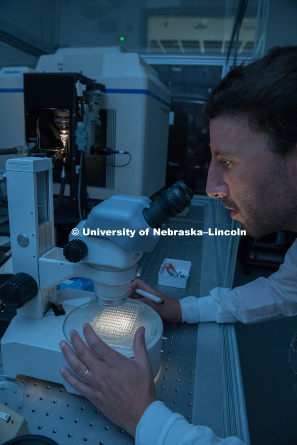 Alex Vecchio, assistant professor of Biochemistry is pictured in his lab in Beadle Hall. September 5, 2018. Photo by Greg Nathan,University Communication.