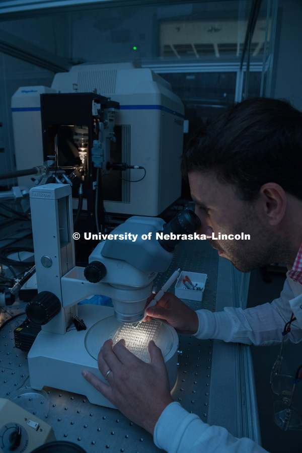 Alex Vecchio, assistant professor of Biochemistry is pictured in his lab in Beadle Hall. September 5, 2018. Photo by Greg Nathan,University Communication.