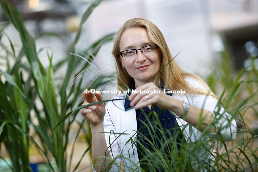 Katarzyna Glowacka, Assistant Professor of Biochemistry, Plant Science Innovation. Beadle Hall. September 24, 2018. Photo by Craig Chandler / University Communication.