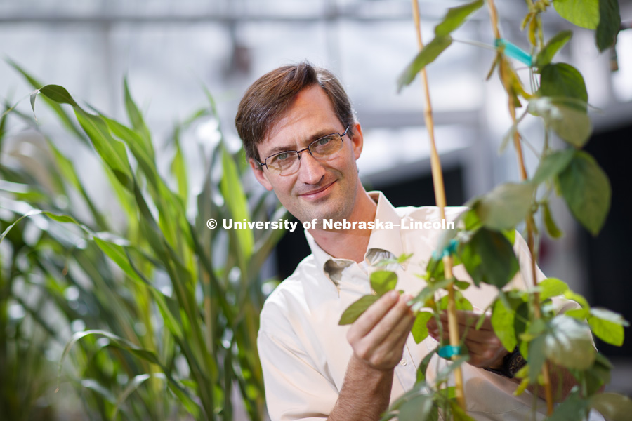 Marc Libault, Associate Professor of Agronomy and Horticulture, Plant Science Innovation.  Beadle Hall. September 24, 2018. Photo by Craig Chandler / University Communication