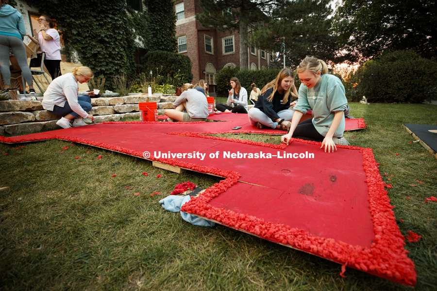 Gamma Phi Beta's Samantha Biel adds tissue paper to the corner of a giant N being decorated on the Theta Xi lawn. Homecoming 2018 decorating yard displays. September 27, 2018. Photo by Craig Chandler / University Communication.