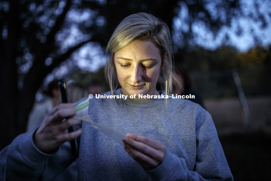 Emily Hintz of Gretna, NE examines insects collected in an area of decomposing wood as part of a class exercise. FORS 400 Crime Scene Investigation. Forensics class works at the site of an old house on the north side of east campus. October 22, 2018. Photo by Craig Chandler / University Communication.