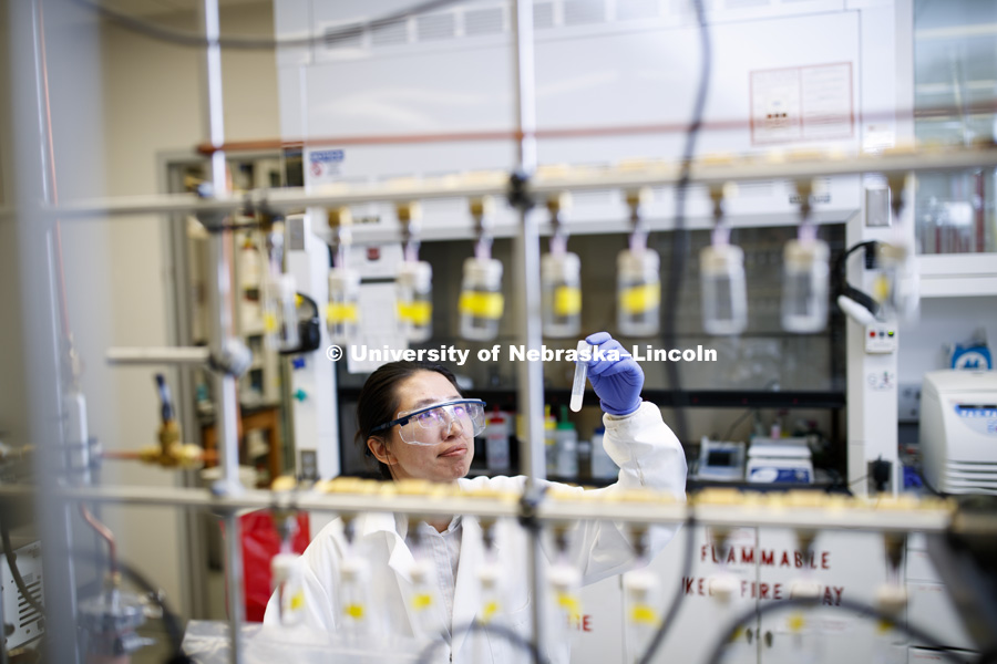 Limei Zhang lab in Beadle Hall. The Nebraska Center for Integrated Biomolecular Communication (NCIBC). October 31, 2018. Photo by Craig Chandler / University Communication.