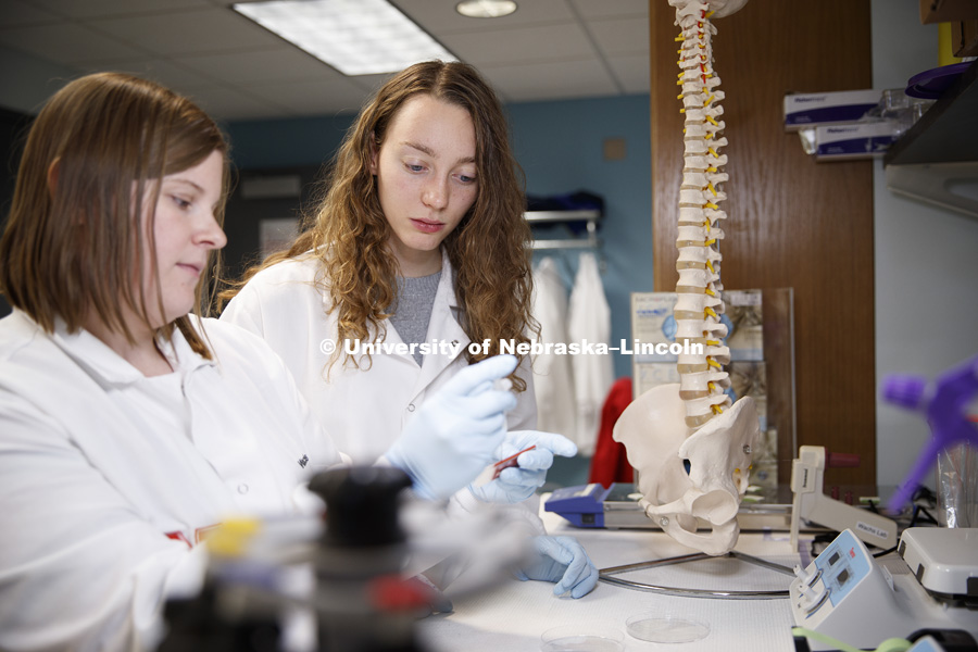 Sarah Romereim and Alexandria Richardson work on samples in Rebecca Wach's lab in Chase Hall. The Nebraska Center for Integrated Biomolecular Communication (NCIBC). November 2, 2018. Photo by Craig Chandler / University Communication.